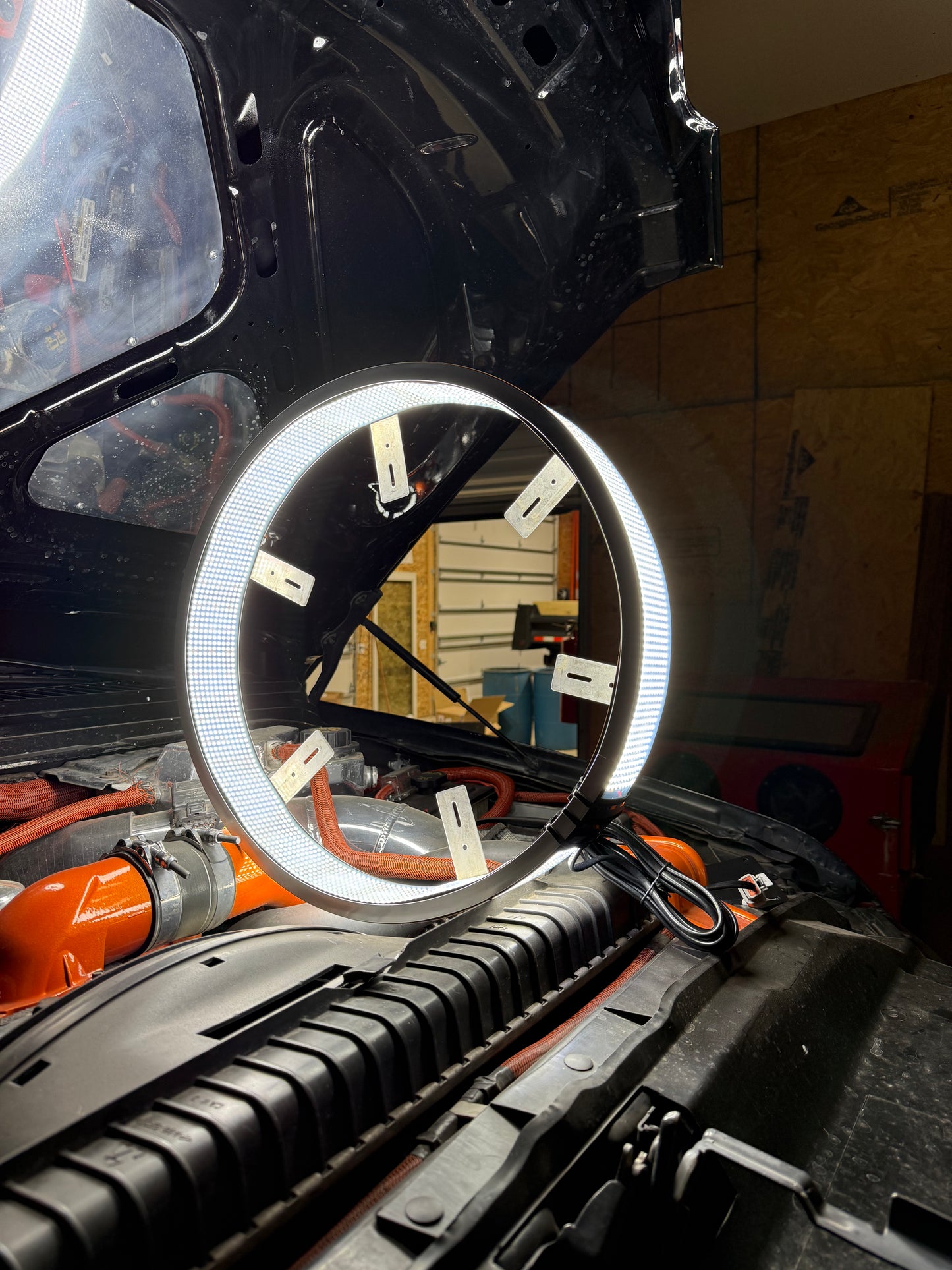 20 row wheel lights!